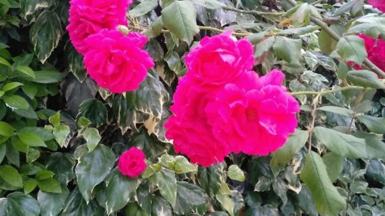 Photo of Outdoor in La Iruela