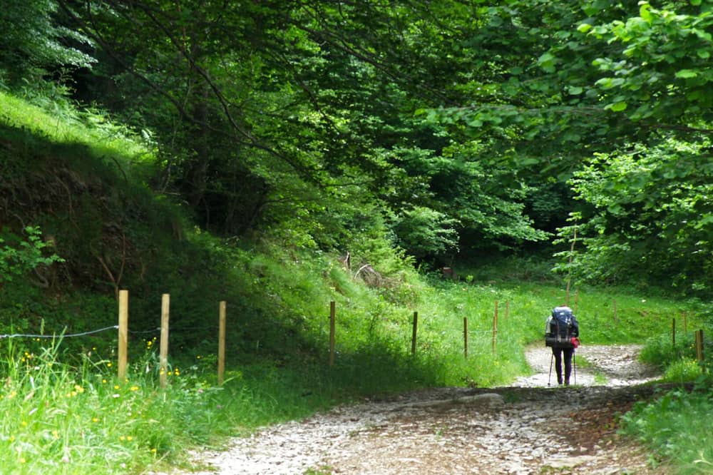 Photo of Outdoor in Mollo