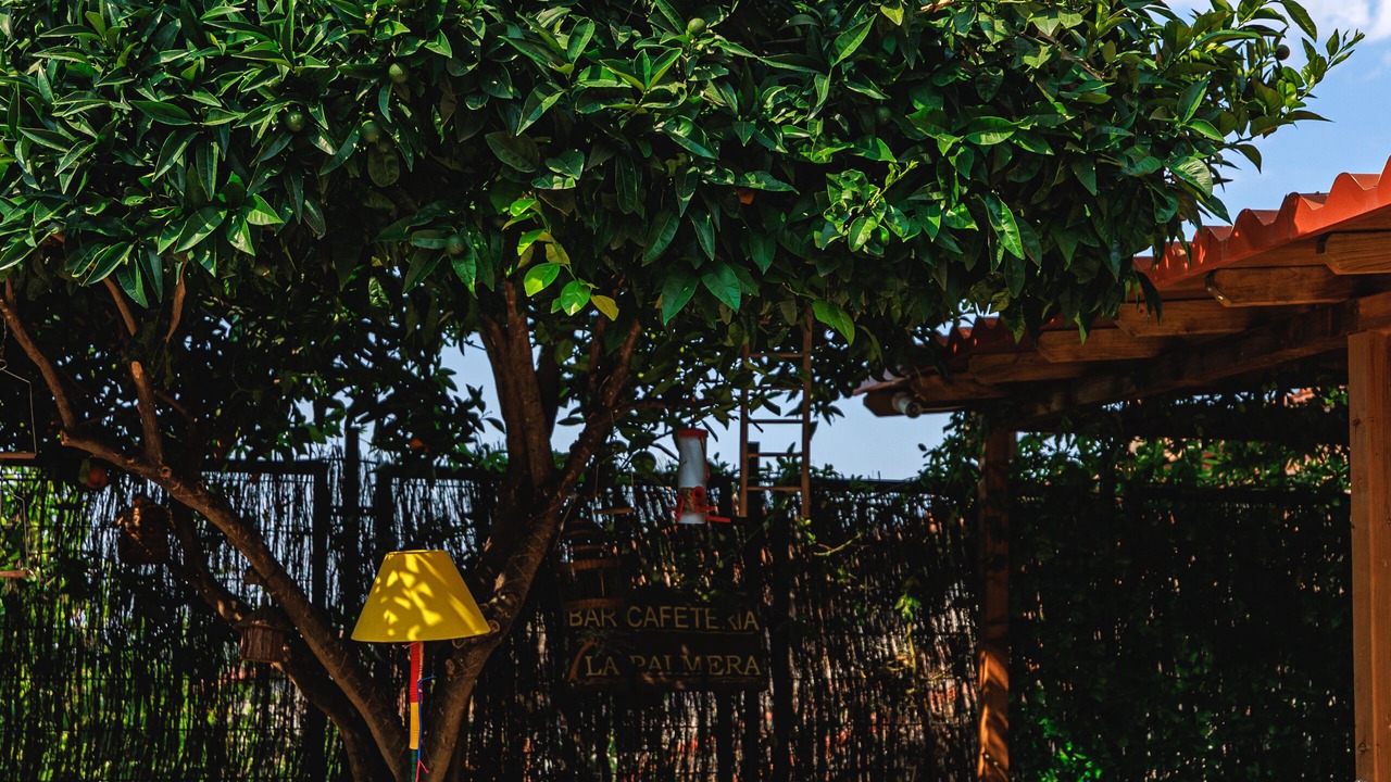 Photo of Outdoor in Jarandilla de la Vera