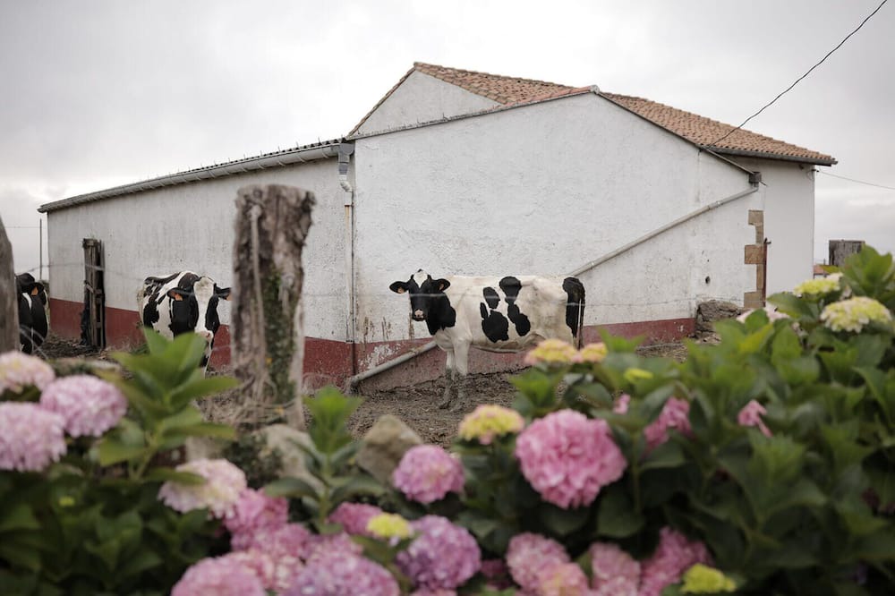 Photo of Outdoor in Tornon