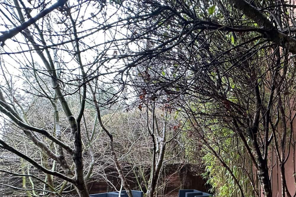 Photo of Outdoor in Ames
