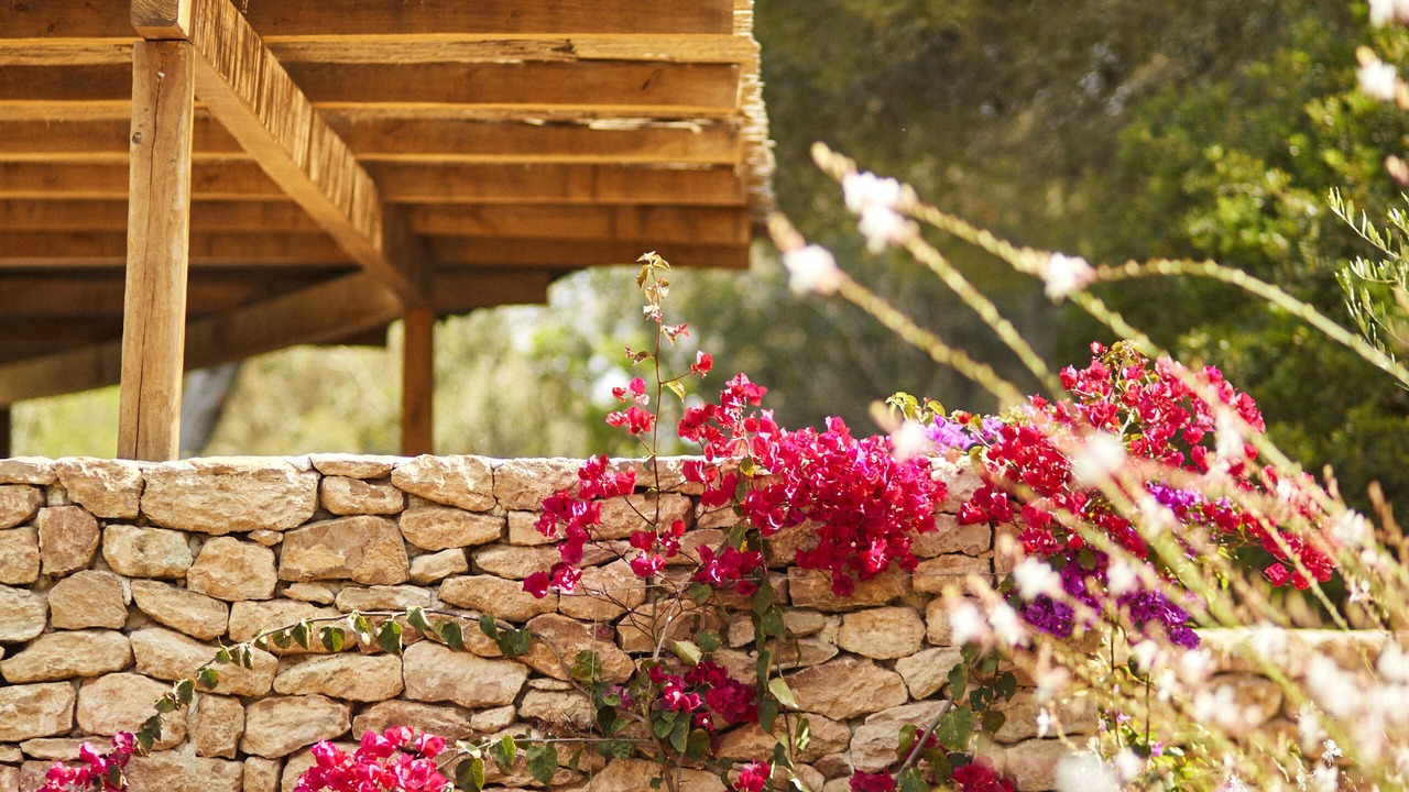 Photo of Outdoor in Formentera