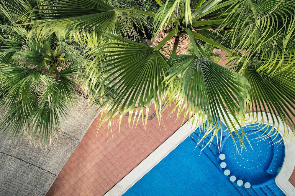 Photo of Outdoor in La Aljorra