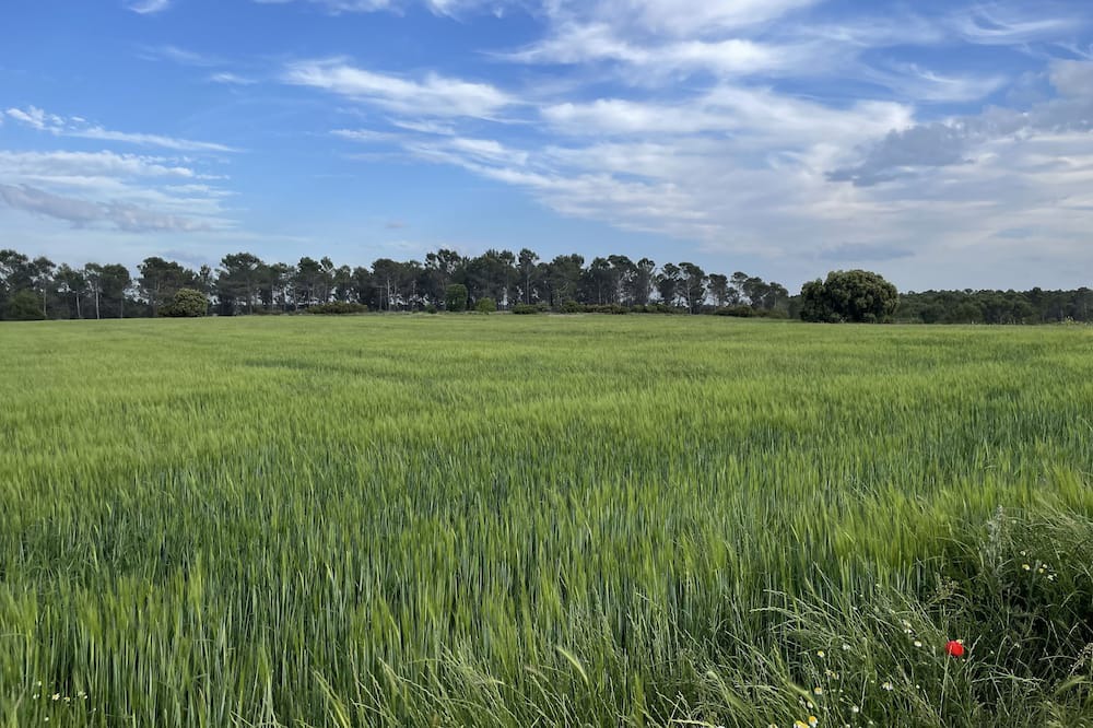Photo of Outdoor in Chiloeches