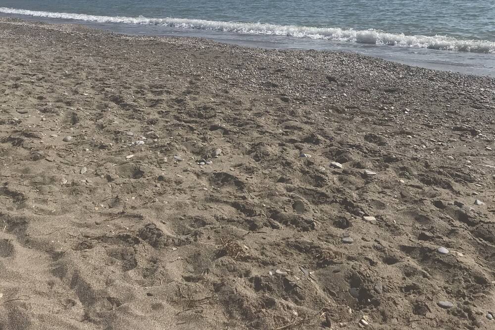 Photo of Others in Villaricos