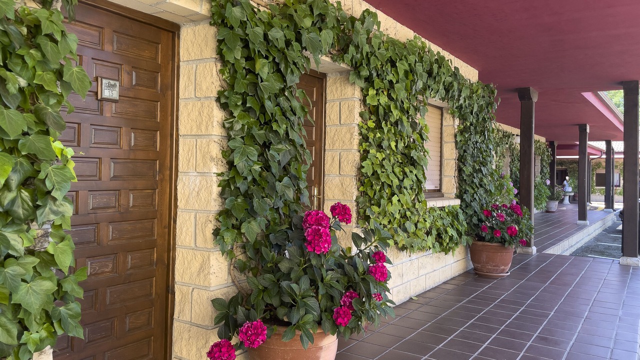 Photo of Outdoor in Mestas de Con