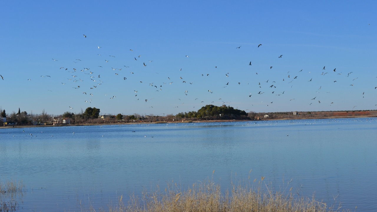 Photo of Outdoor in Villafranca de los Caballeros