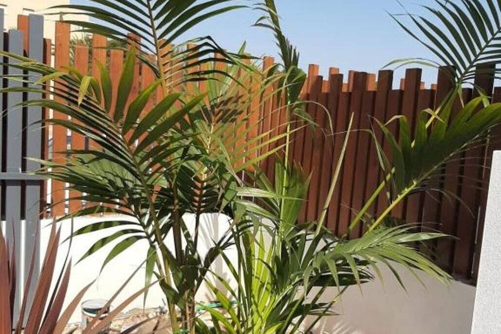 Photo of Outdoor in Playa Honda
