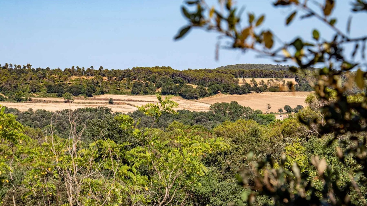 Photo of Outdoor in Pujals dels Pagesos