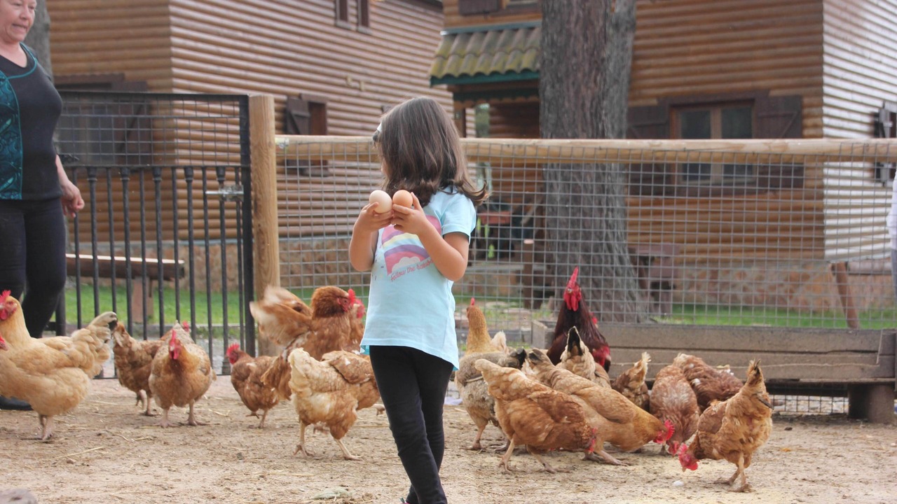 Photo of Outdoor in Prades