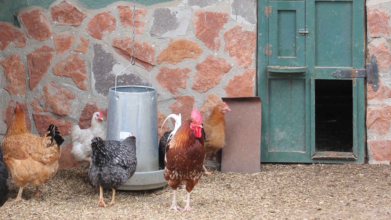 Photo of Outdoor in Prades