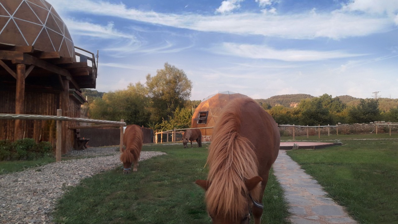 Photo of Outdoor in Prades