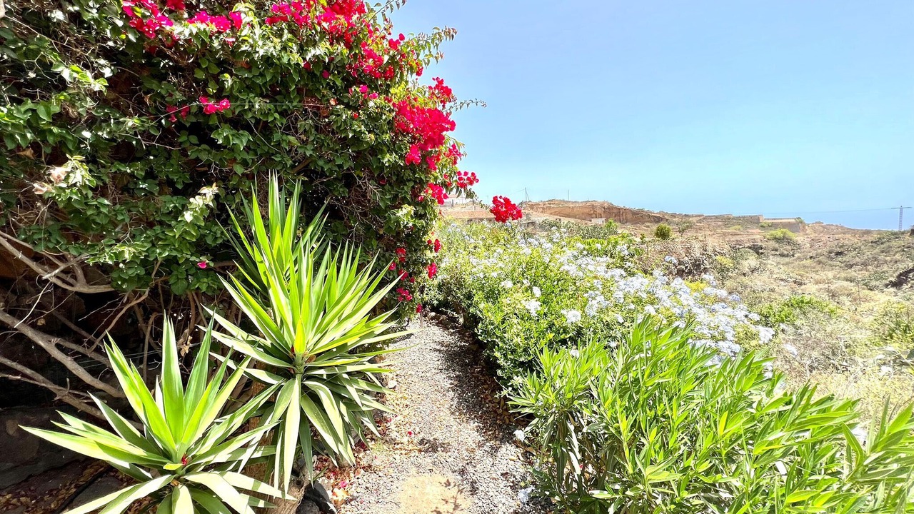 Photo of Outdoor in El Rincon