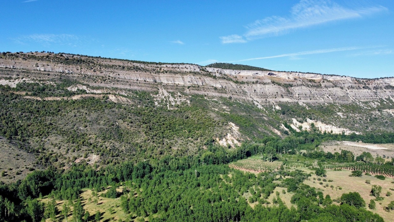 Photo of Outdoor in Barbadillo del Mercado