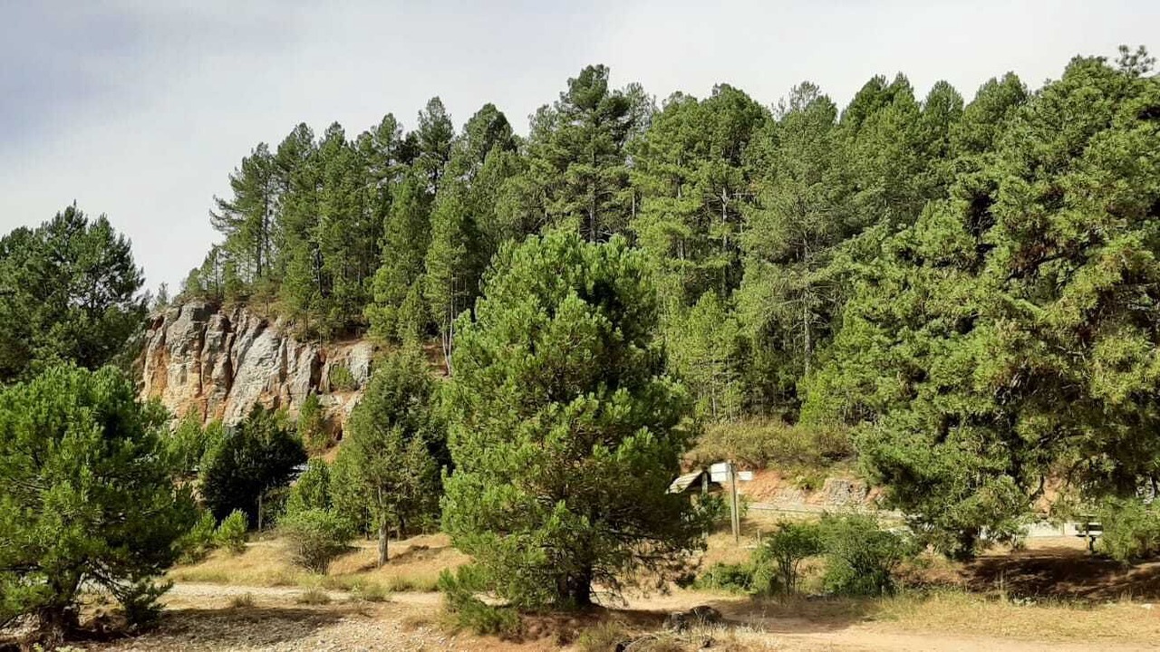 Photo of Outdoor in Barbadillo del Mercado