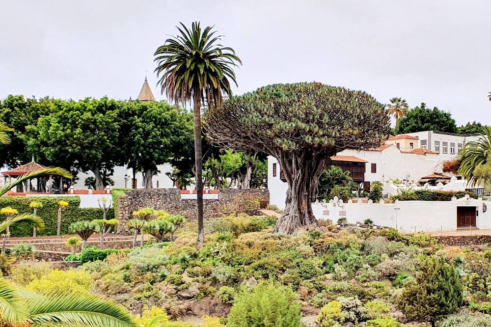 Photo of Outdoor in Los Abrigos