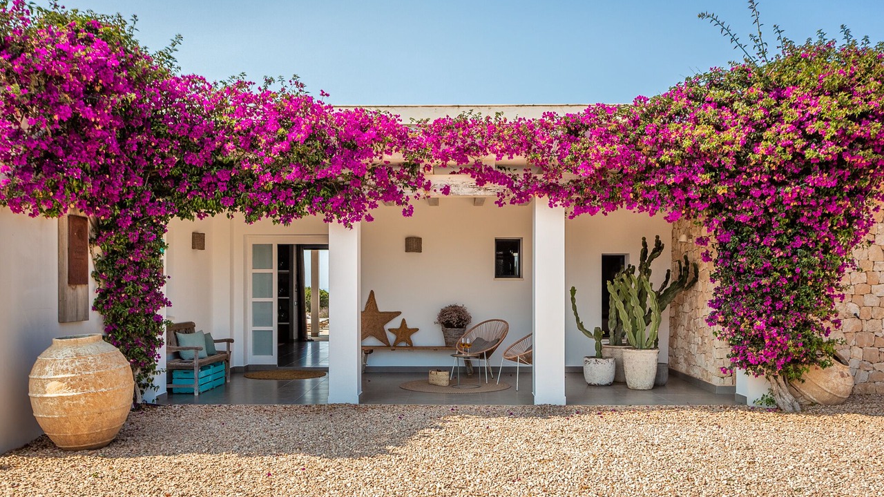 Photo of Outdoor in Formentera