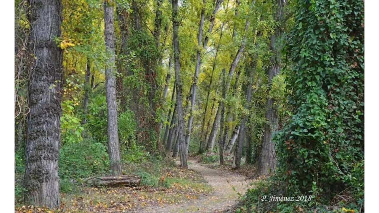 Photo of Outdoor in Mogon
