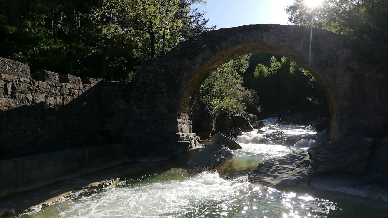 Photo of Others in Sarratillo
