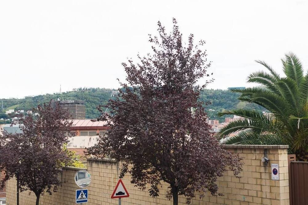 Photo of Outdoor in Zabala