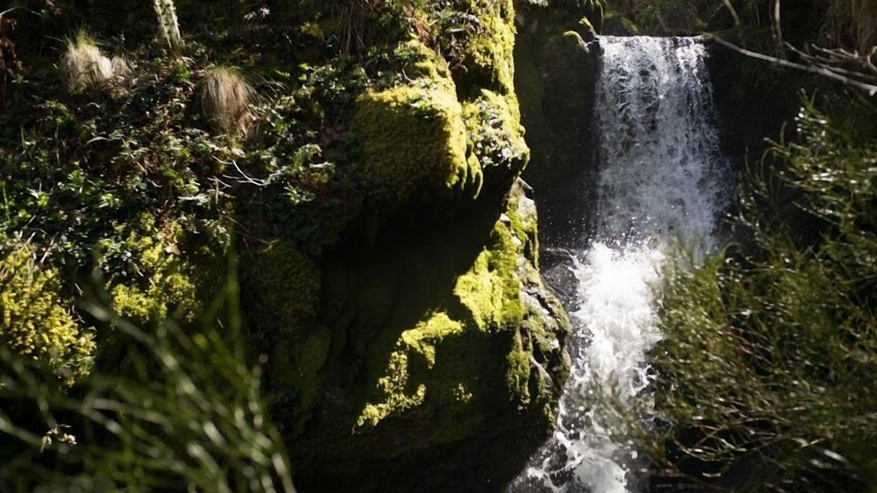 Photo of Outdoor in Carballeda de Valdeorras