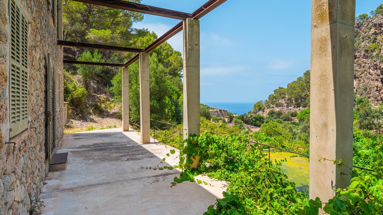 Photo of Outdoor in Estellencs