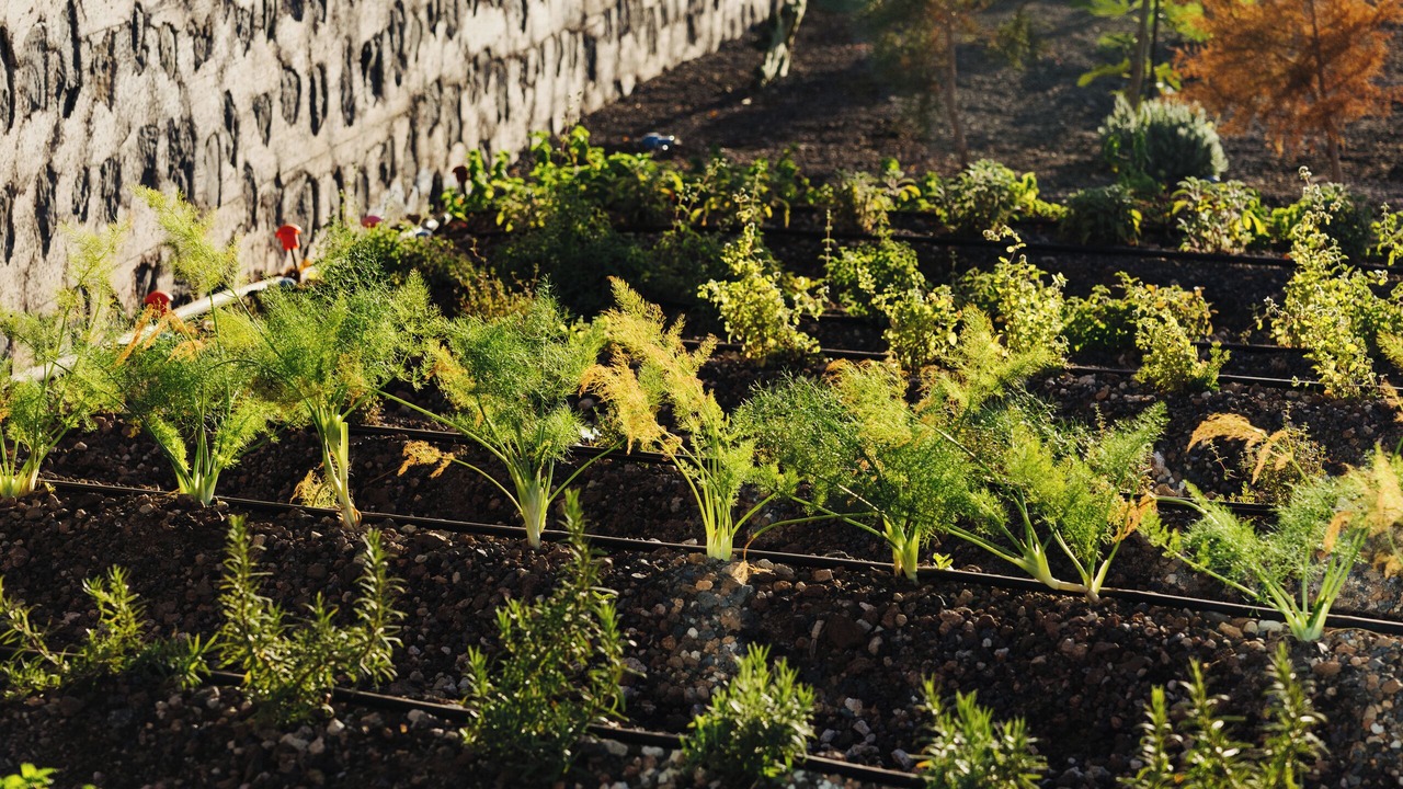 Photo of Outdoor in San Sebastian de la Gomera