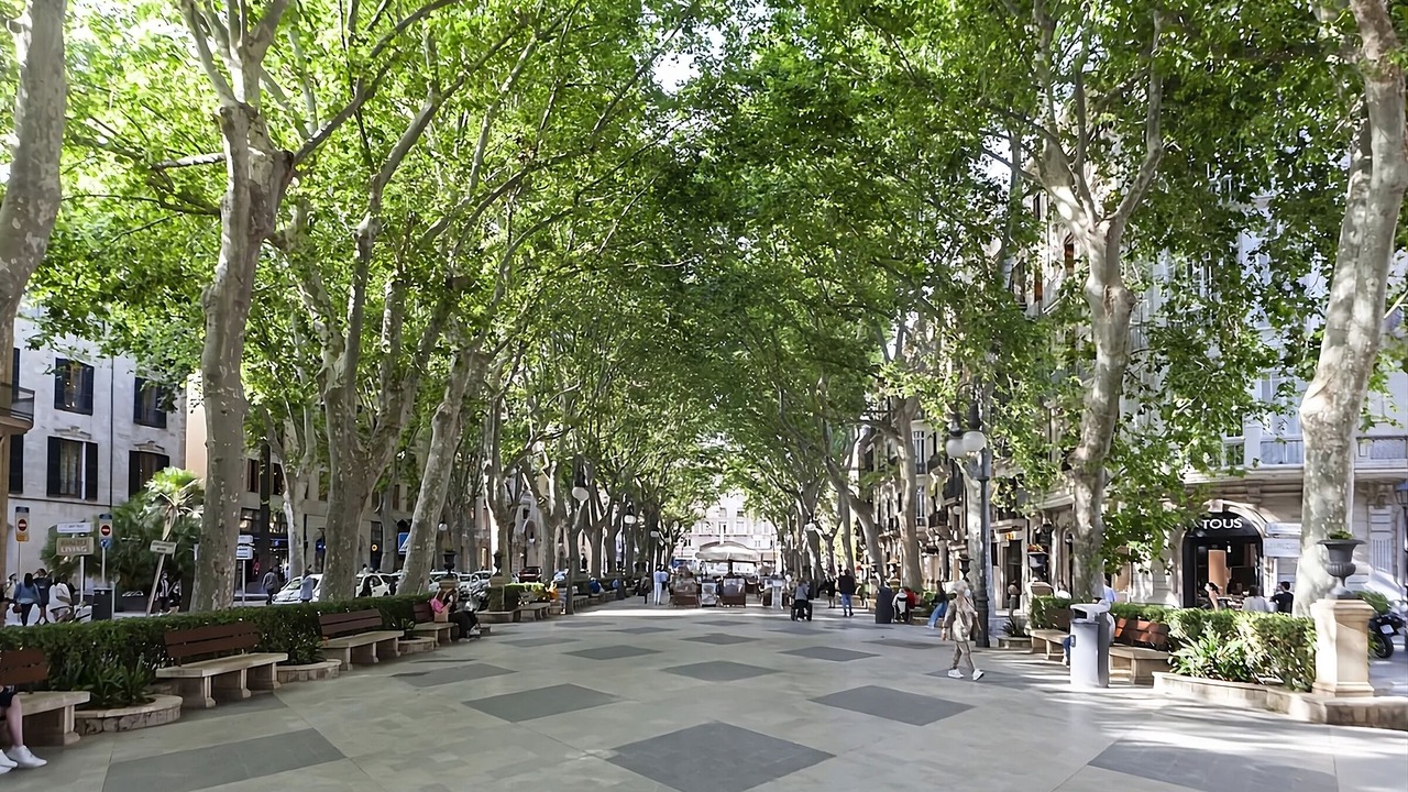 Photo of Others in Sant Nicolau