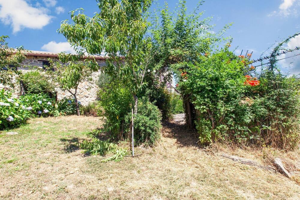 Photo of Outdoor in Panton
