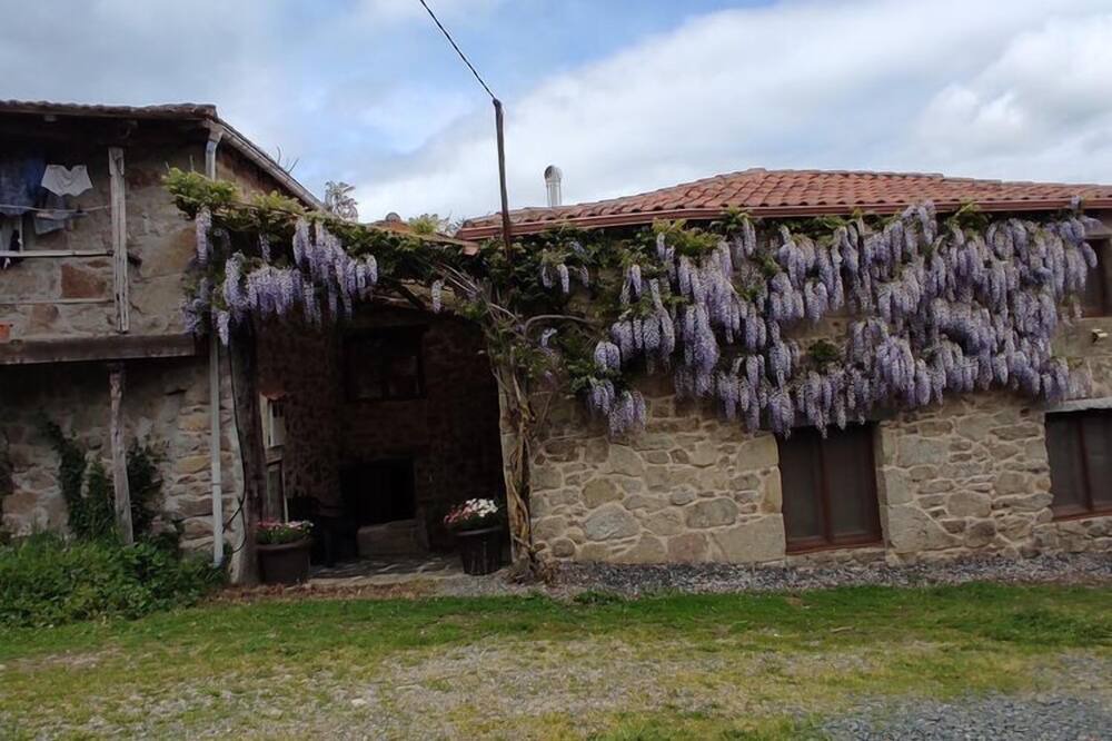 Photo of Others in Panton