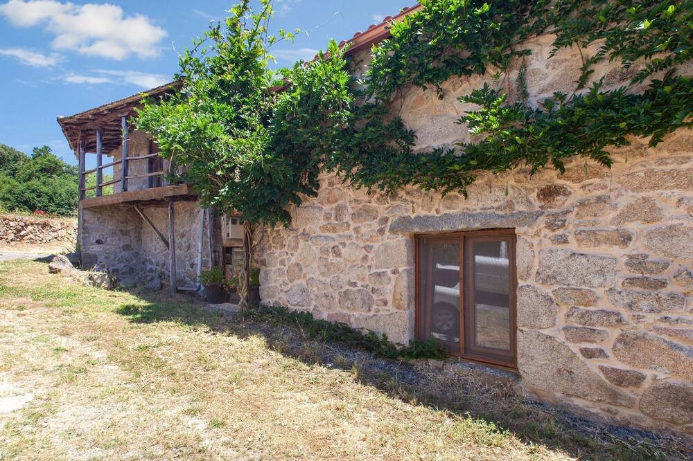 Photo of Outdoor in Panton