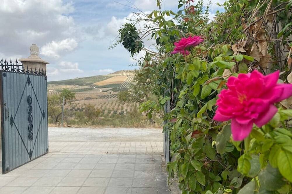 Photo of Outdoor in Arenas del Rey