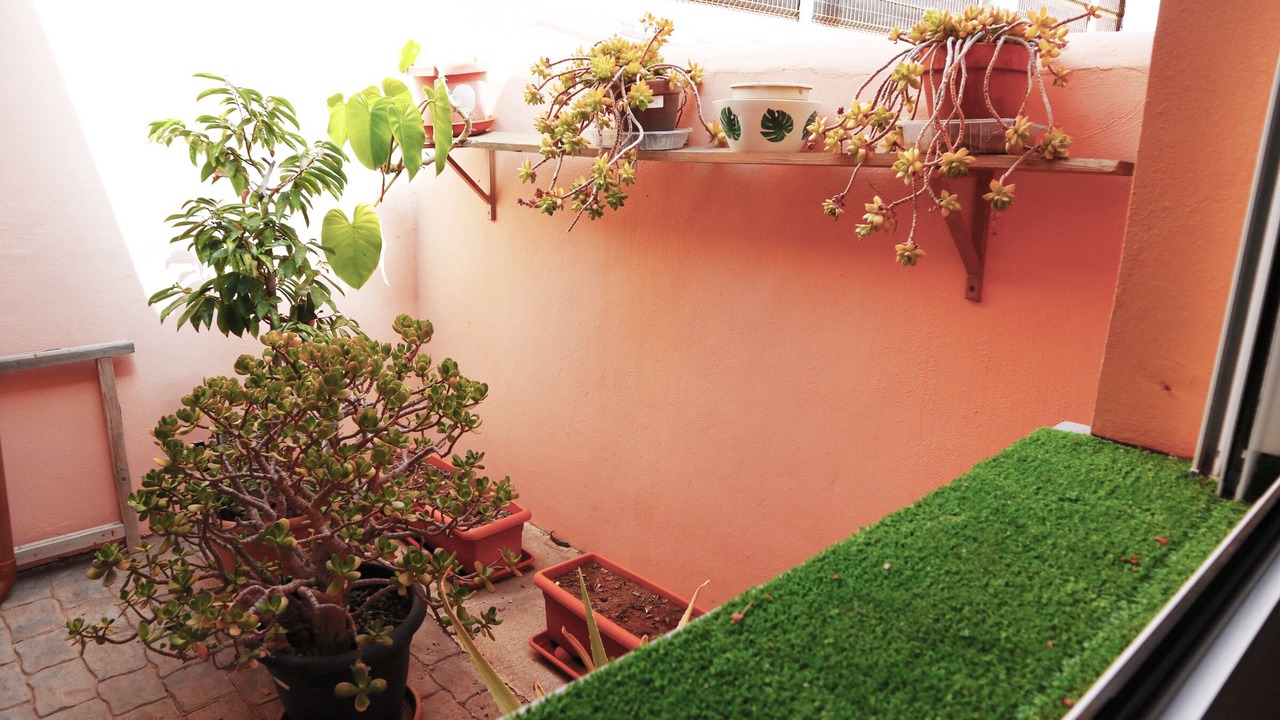 Photo of Outdoor in San Isidro