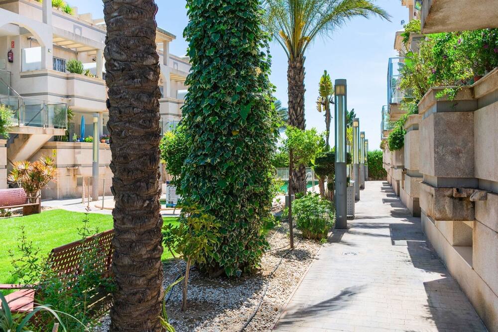 Photo of Outdoor in Palomares