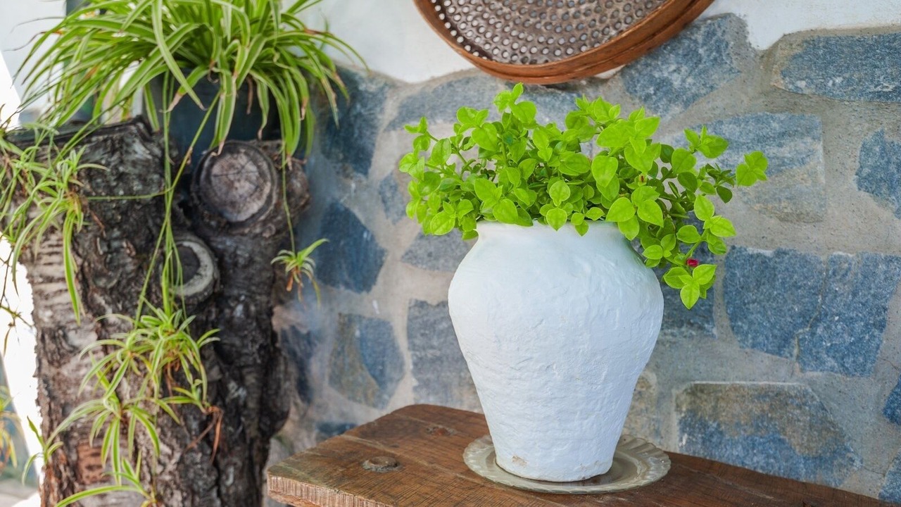 Photo of Bathroom in Castillo de Locubin