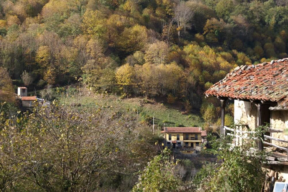 Photo of Others in Ricabo
