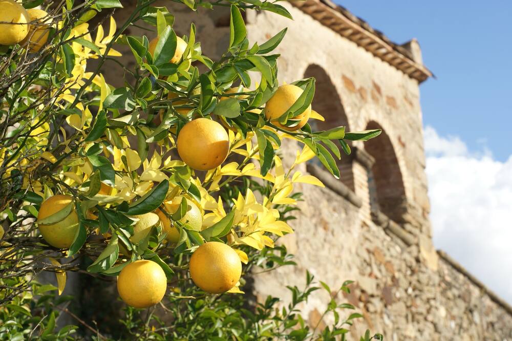 Photo of Outdoor in Sant Marti Vell