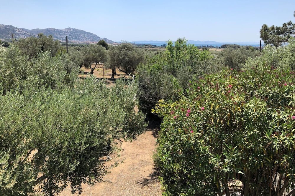 Photo of Outdoor in El Mas Bosca