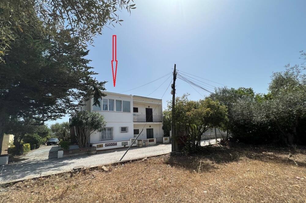 Photo of Outdoor in El Mas Bosca