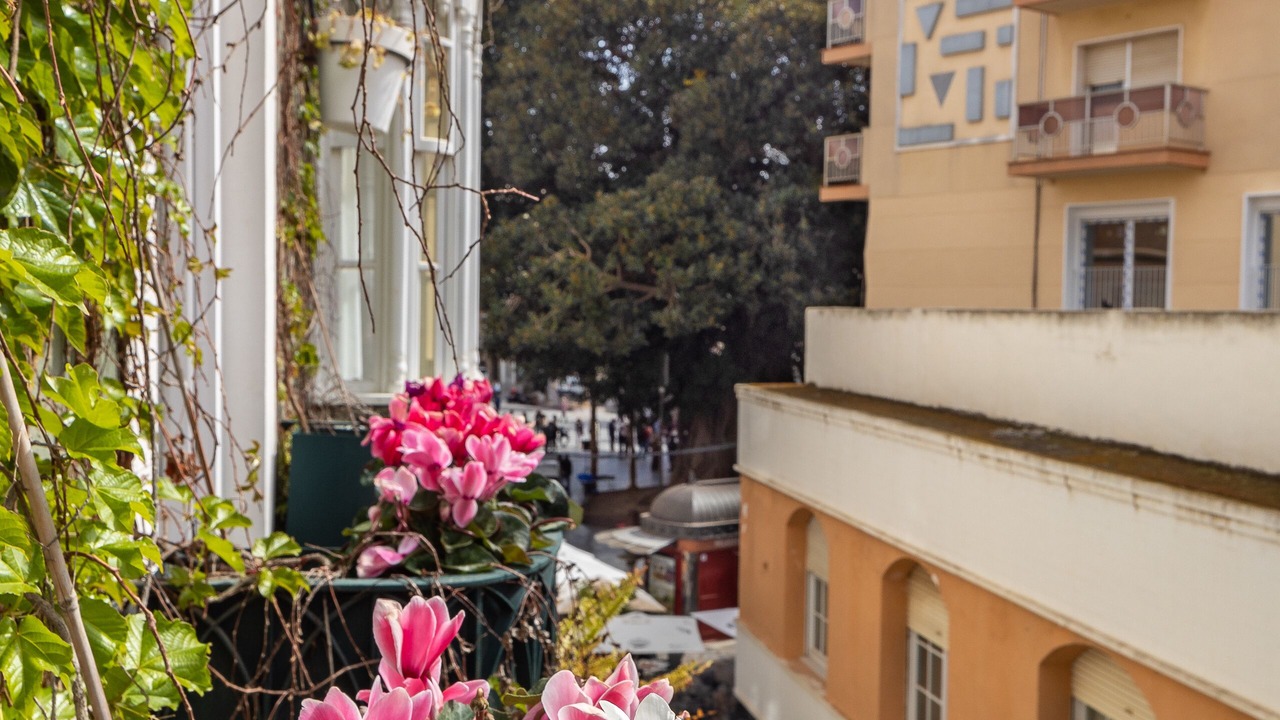 Photo of Outdoor in Diputacion de Cartagena Casco
