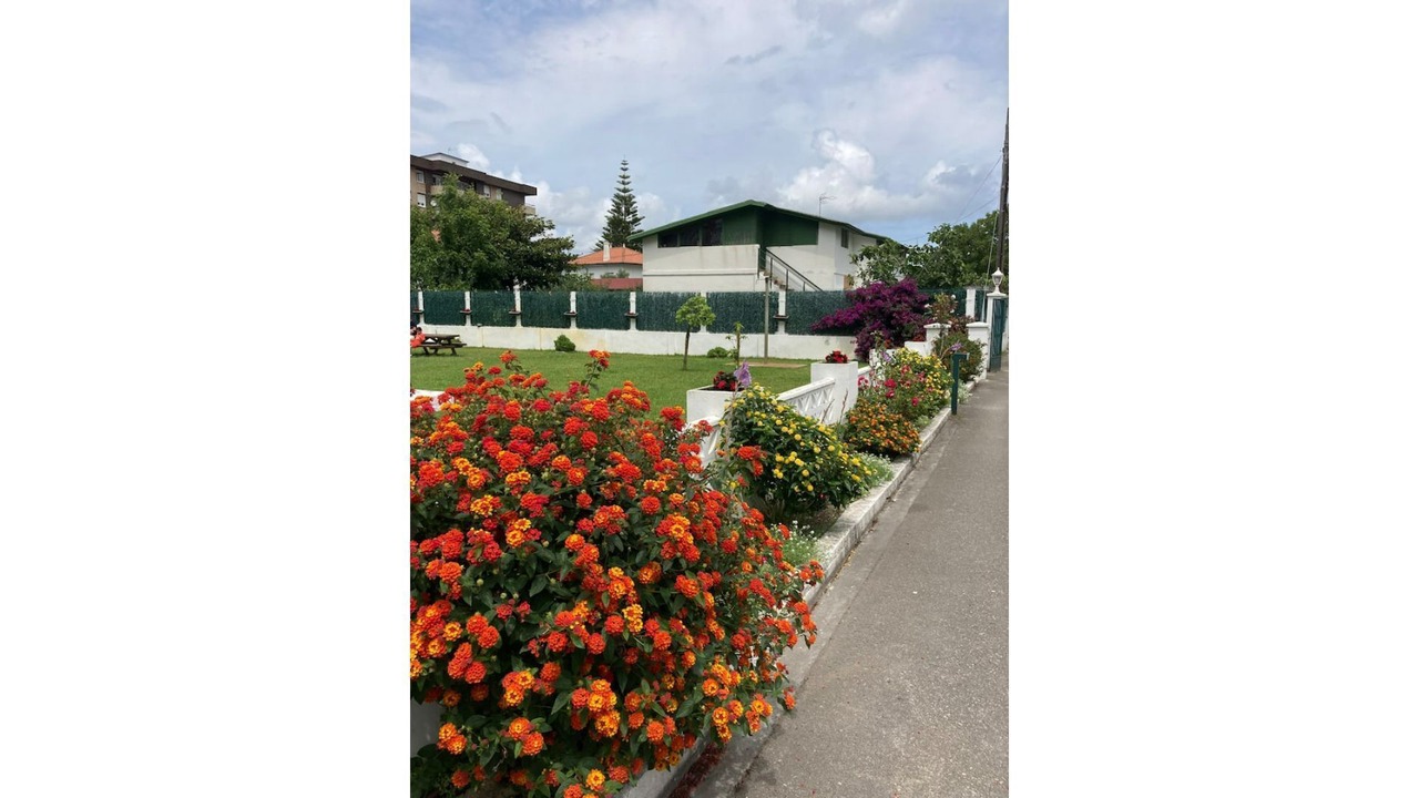 Photo of Outdoor in Laredo