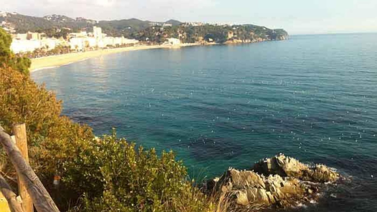Photo of Outdoor in Lloret Town Center