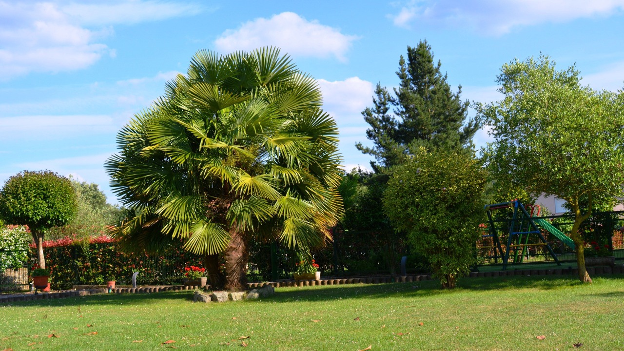 Photo of Outdoor in Monforte de Lemos