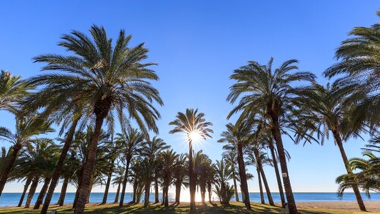 Photo of Others in Torremolinos