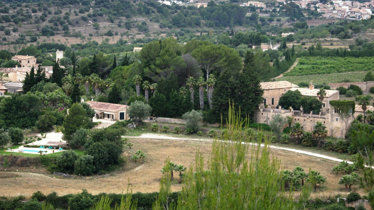 Photo of Outdoor in Puigpunyent