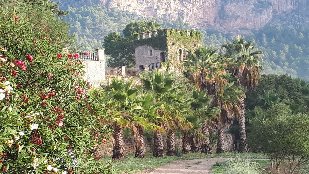 Photo of Outdoor in Puigpunyent