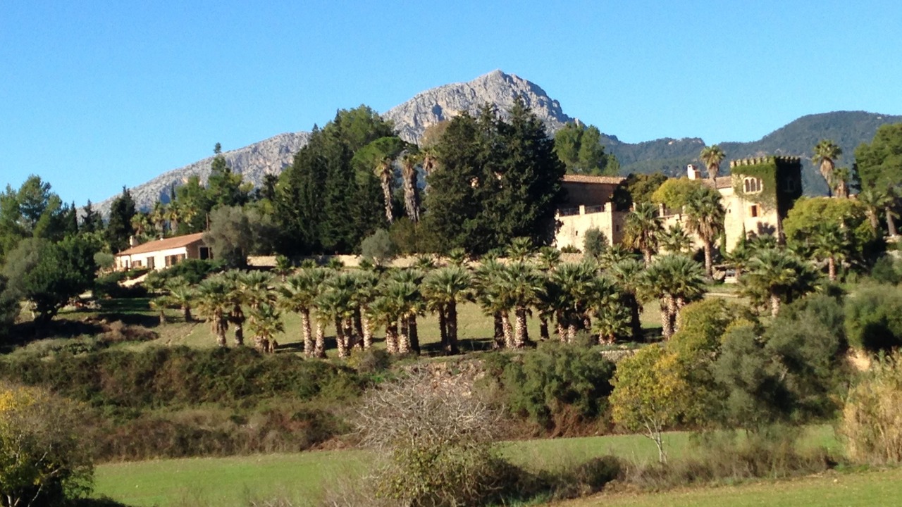 Photo of Outdoor in Puigpunyent