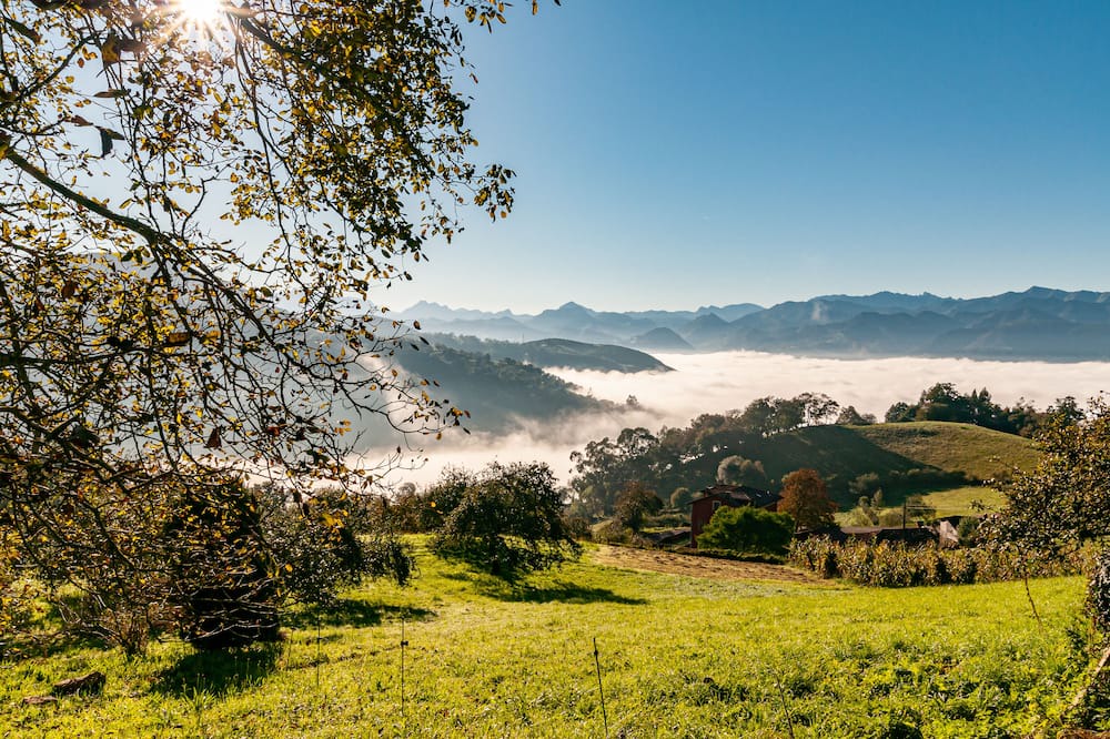 Photo of Outdoor in Vallobal