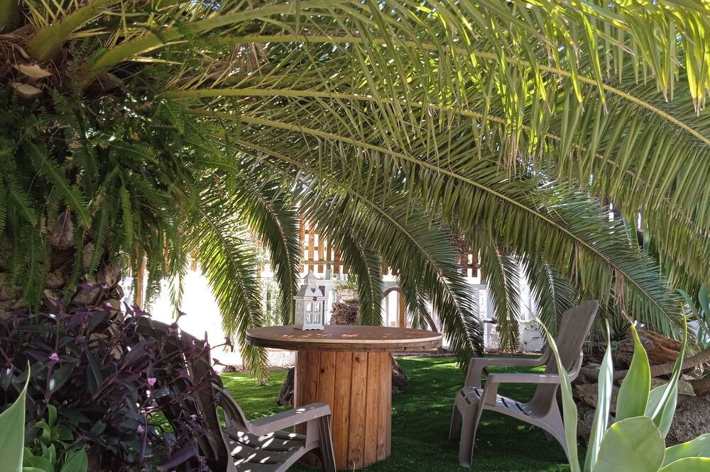 Photo of Outdoor in Tegueste