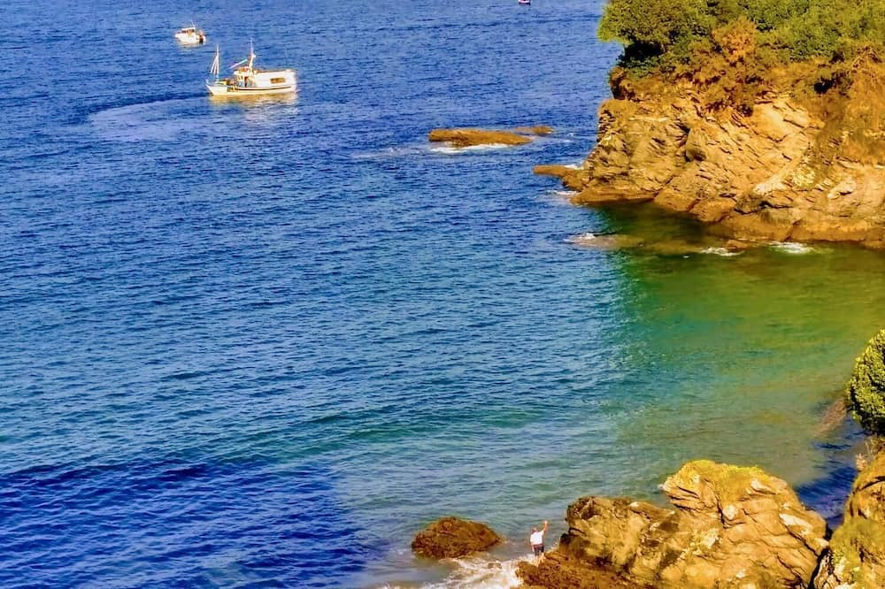 Photo of Others in Viveiro
